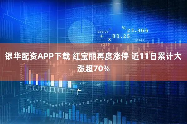 银华配资APP下载 红宝丽再度涨停 近11日累计大涨超70%